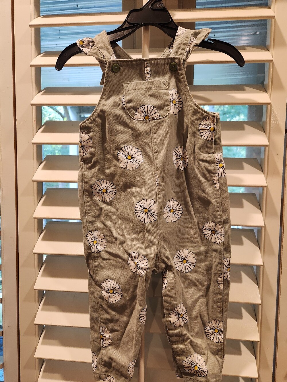 Carter's Girls Coveralls, Sage With Daiseys, Size 18M